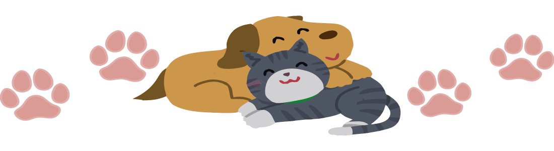 Banner for DivlMarket – Funny, Pet, Family & Lifestyle Gifts